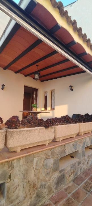 Cal Llop Villa Sant Cugat de Sesgarrigues Eksteriør bilde