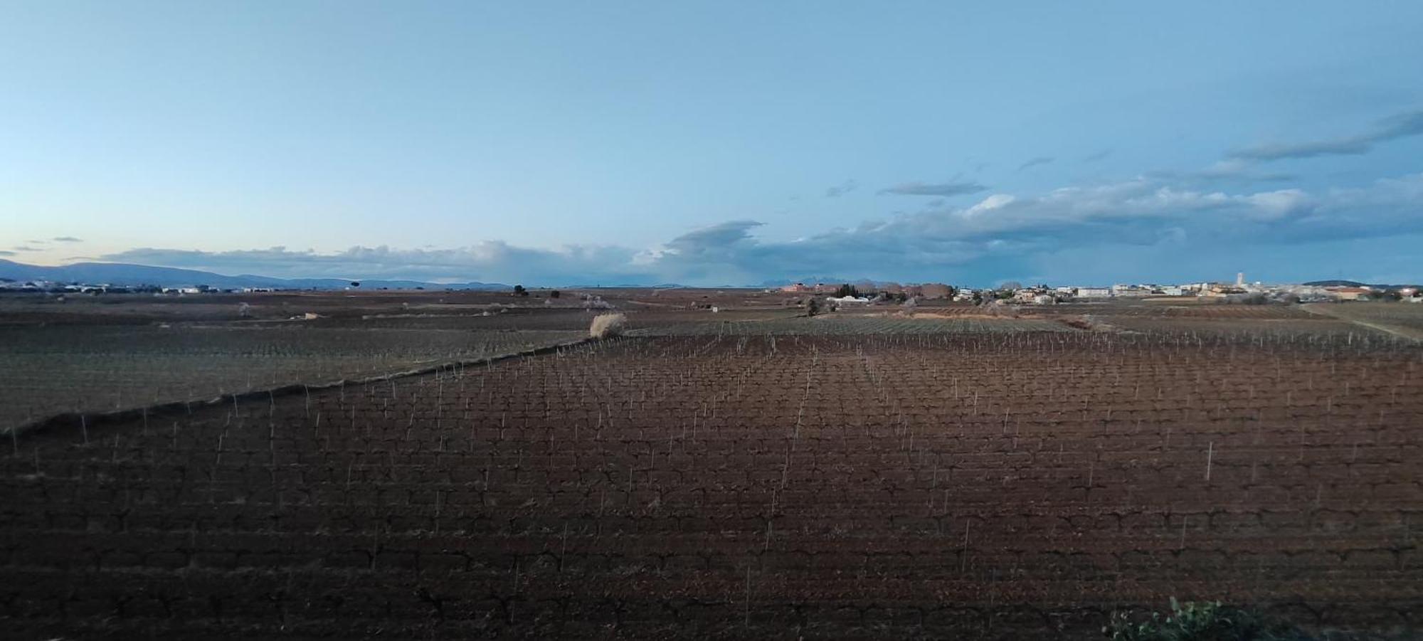 Cal Llop Villa Sant Cugat de Sesgarrigues Eksteriør bilde