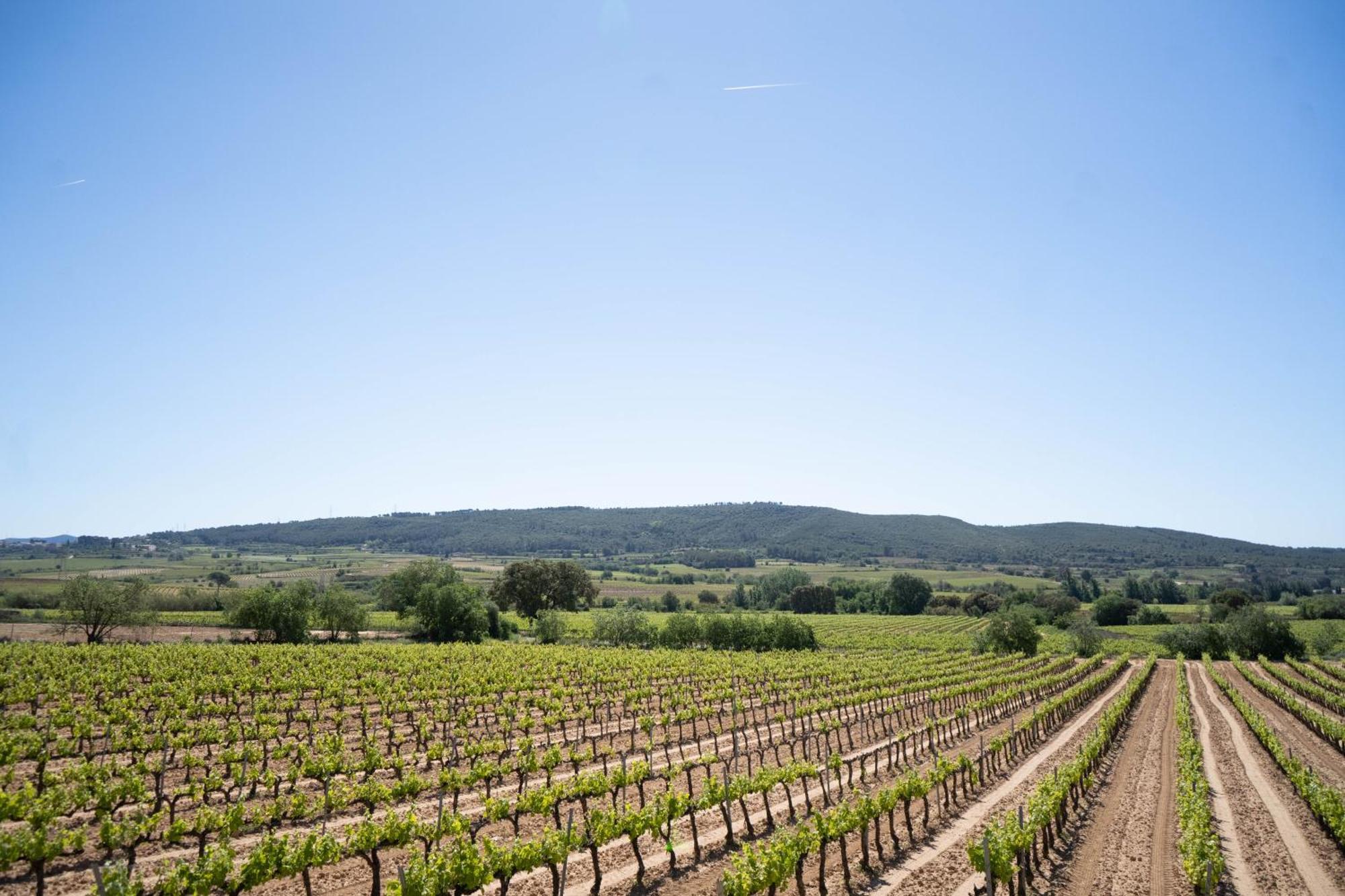 Cal Llop Villa Sant Cugat de Sesgarrigues Eksteriør bilde